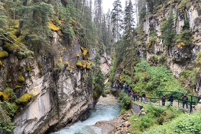Moraine Lake Lake Louise Johnston Canyon Emerald Lake Day tour - How the shared bus format affects the day
