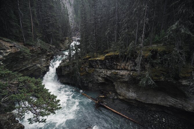 Moraine Lake & Lake Louise Sunset & Wildlife Adventure - Lake Louise beneath Victoria Glacier