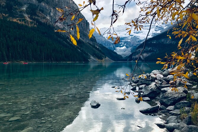 Moraine Lake & Lake Louise Sunset & Wildlife Adventure - Dusk wildlife along the Bow Valley Parkway