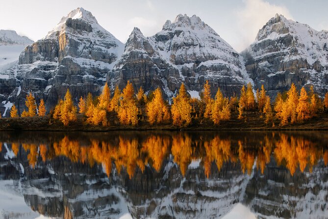 Moraine Lake & Lake Louise Sunset & Wildlife Adventure - Starting at Banff Train Station