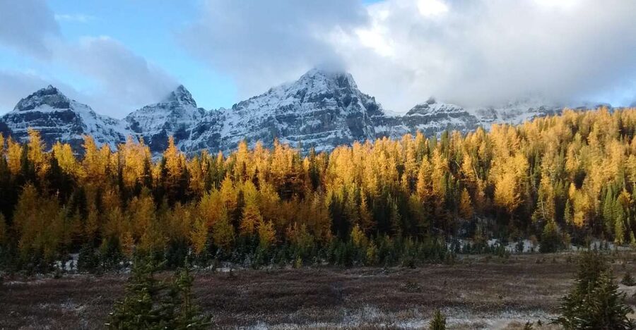Moraine Lake & Larch Valley Hike - Starting at Moraine Lake and entering Larch Valley