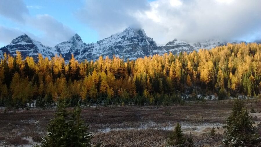 Moraine Lake & Larch Valley Hike - Group size, timing, and the feel of the day