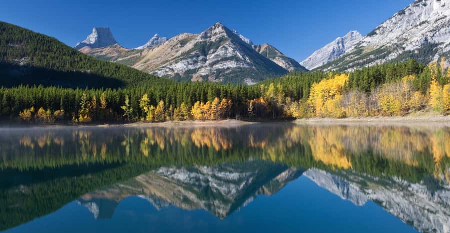 Moraine Lake Louise Emerald Johnston Canyon Banff Yoho Tour - The guide can make or break a packed day