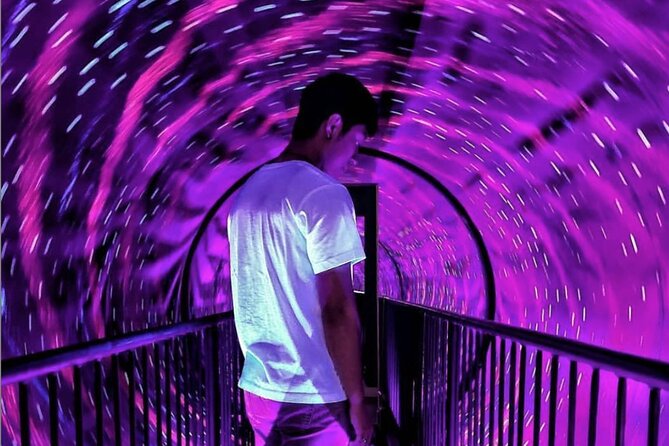 Museum of Illusions Montreal - 70+ Illusions to Explore - Key points at a glance