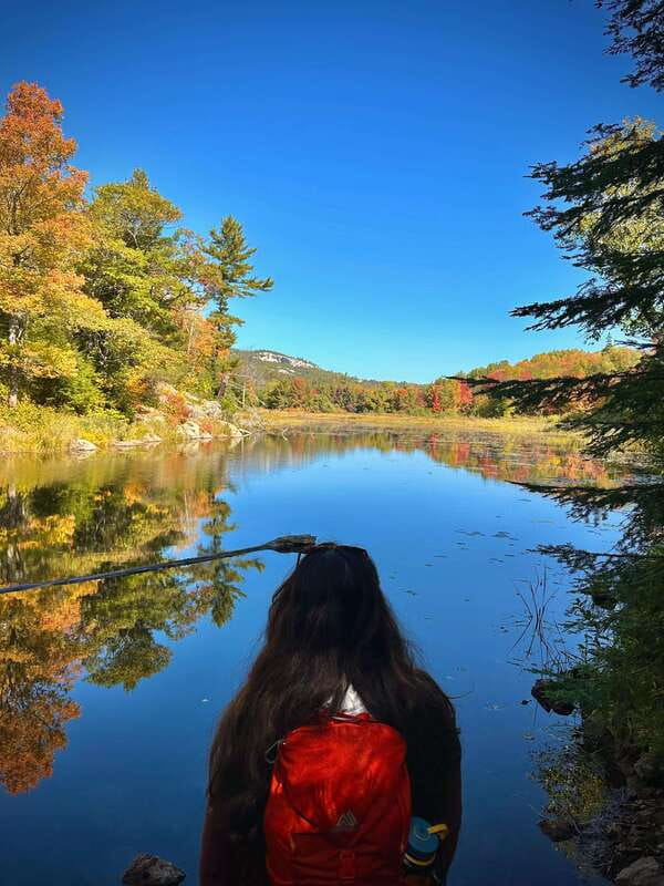 Muskoka: High Falls, Hardy Lake, & Huckleberry Rock Tour - Dinner in the Muskoka area