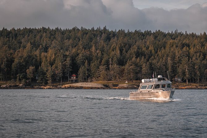 Nanaimo Whale Watching in a Semi-Covered Boat - Searching the Gulf Islands for whales