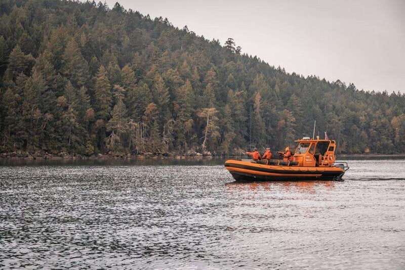 Nanaimo: Whale Watching Open Boat Tour - Key points to know before you book