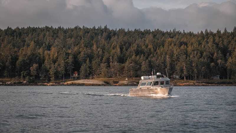 Nanaimo: Whale Watching Semi-Covered Boat Tour - The main wildlife hour