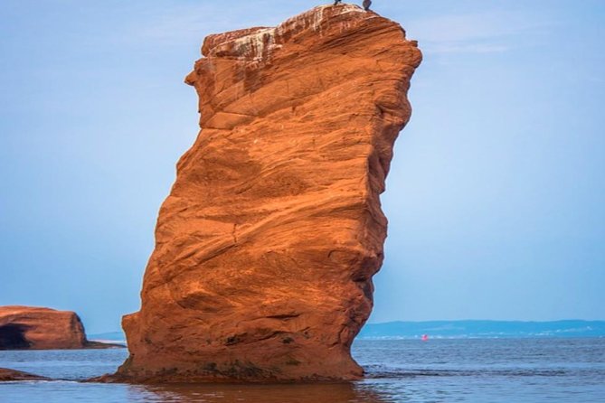 New Brunswick Shore Excursion: Bay of Fundy and More Highlights Tour - Key things to know before you book