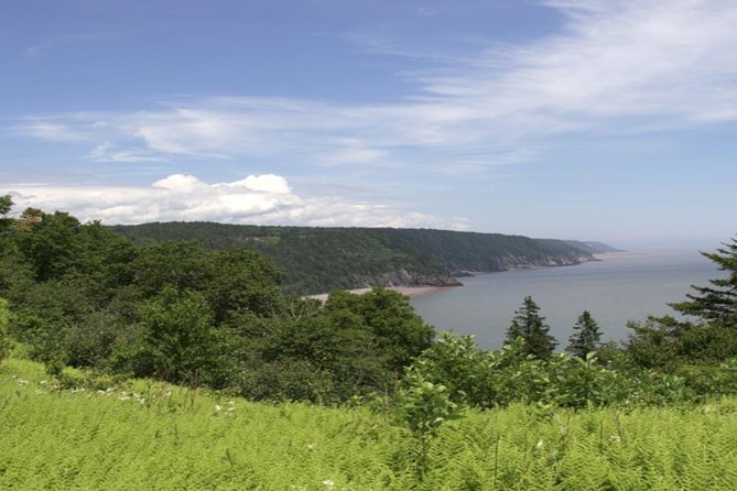New Brunswick Shore Excursion: Bay of Fundy and More Highlights Tour - Why the Bay of Fundy gives this tour its purpose