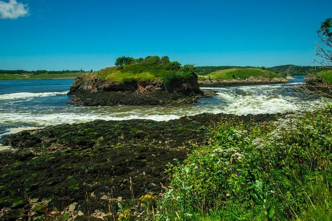 New Brunswick Shore Excursion: Bay of Fundy and More Highlights Tour - How much time you really get
