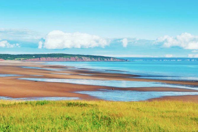 New Brunswick Shore Excursion: Bay of Fundy and More Highlights Tour - Guides make the biggest difference