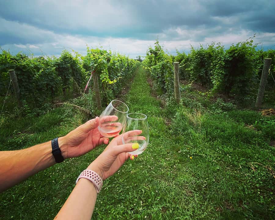 Niagara: A Twilight Wine Adventure With 3-Course Dinner - Four wineries, one well-paced afternoon