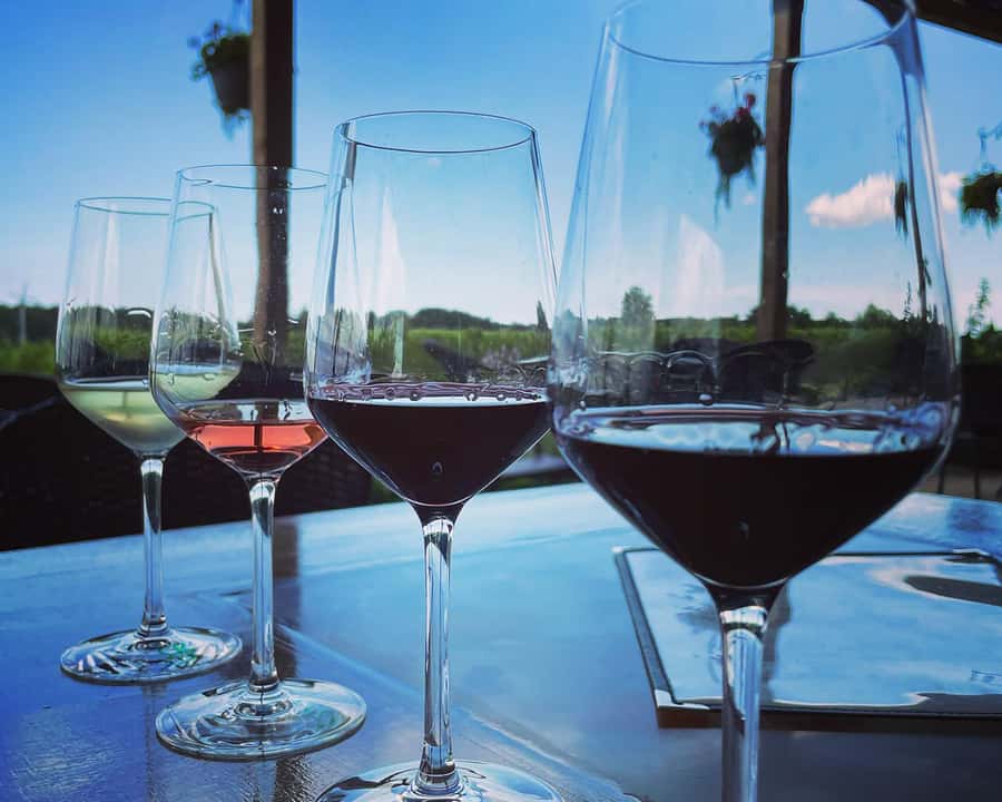 Niagara: A Twilight Wine Adventure With 3-Course Dinner - The two-hour dinner finish