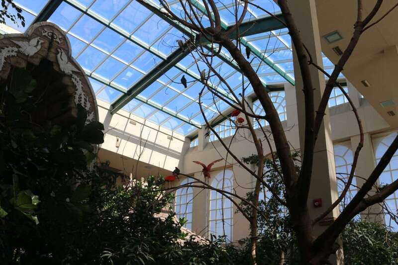 Niagara Falls, Canada: Bird Kingdom Entry Ticket - The route from rainforest paths to open aviaries