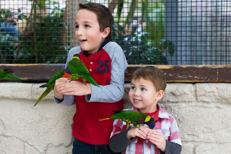 Niagara Falls, Canada: Bird Kingdom Entry Ticket - Access, stairs, and what to wear