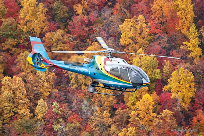 Niagara Falls Canada Helicopter Tour - Weather can change the day