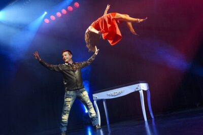 Niagara Falls, Canada: Wild Magic Show Ticket