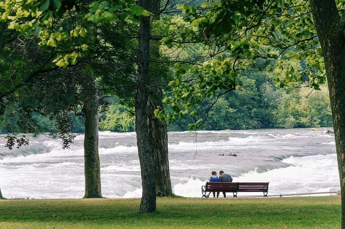 Niagara Falls Day and Evening Tour With Boat Cruise & Dinner (optional) - Toronto pickup and the long road to the falls