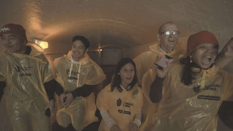Niagara Falls: Day & Night Tour with Boat Ride and Dinner - Key details that shape the day