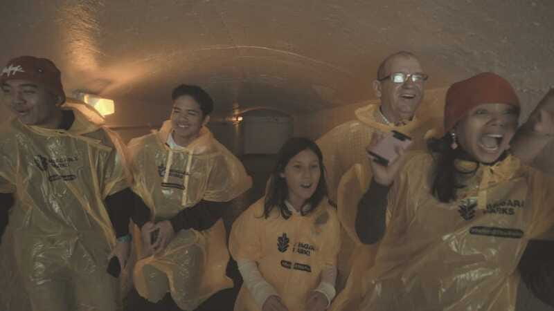 Niagara Falls: Day & Night Tour with Boat Ride and Dinner - Is $267 a fair price?