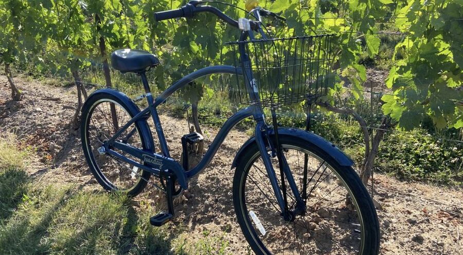 Niagara-on-the-Lake: Bicycle Tour with Wine Tasting - The picnic lunch gives the day a needed pause
