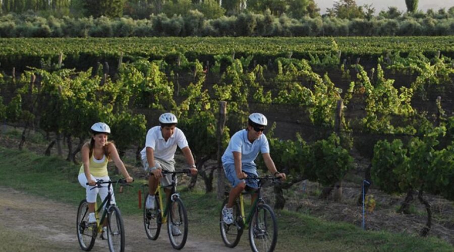 Niagara-on-the-Lake: Bicycle Tour with Wine Tasting - Starting with pickup, fitting, and a gentle first ride