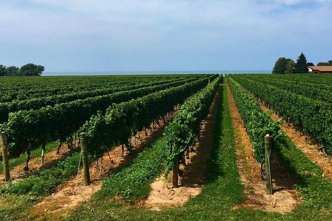 Niagara-On-The-Lake Guided Wine and Charcuterie Full-Day Tour - Who will enjoy this tour most