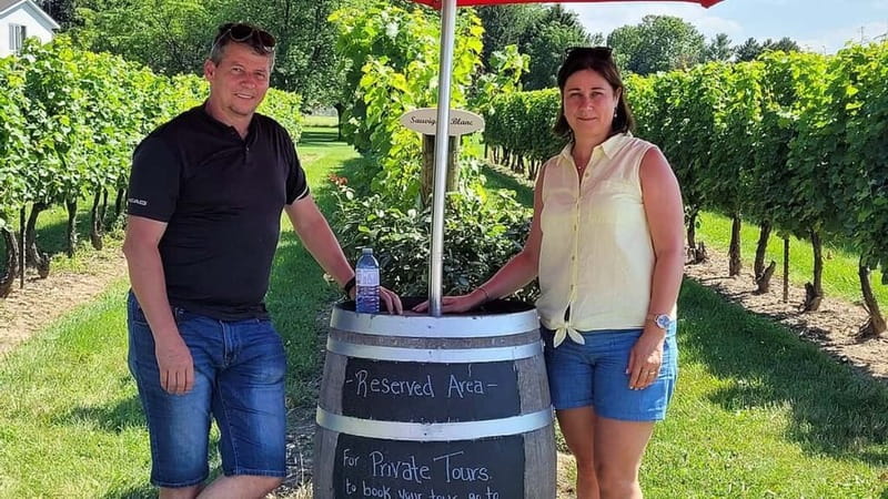 Niagara-on-the-Lake: Sunset Wine Tour with Dinner - Three wineries, one easy afternoon