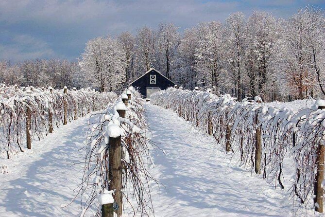 Niagara Wine Tour and Tastings with Transportation - Transportation, comfort, and group size