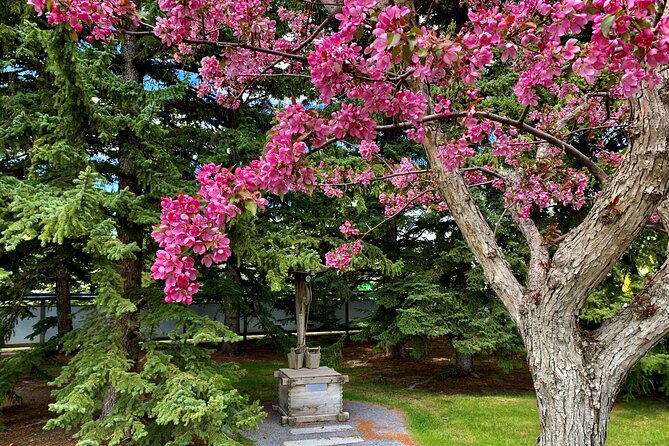 Nikka Yuko Admission (Adults & Children) - Tea pavilion access and cultural programming