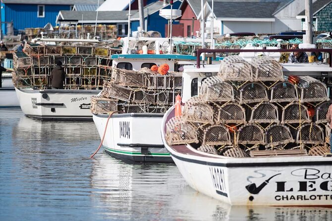 North Shore Tour of Prince Edward Island In Luxury - Ross as your guide