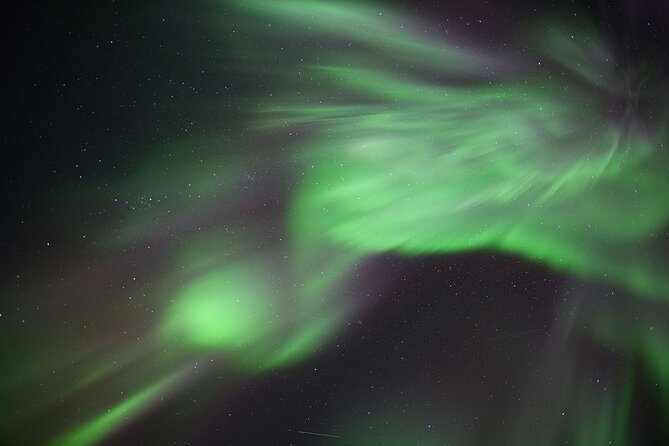 Northern Lights Tour Yellowknife - The $74.35 price is fair for a simple aurora outing