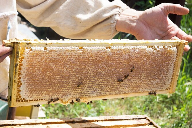 Okanagan Bee Tour and Lunch at Winery in Kelowna - Six honey wines in a short tasting