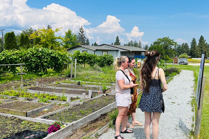 Okanagan Bee Tour and Lunch at Winery in Kelowna - Raw honey, infused honey, and the farm shop