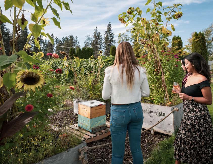 Okanagan Blackberry Fest; Wine Flights & Charcuterie Kelowna - The wine flight and honey wine choices
