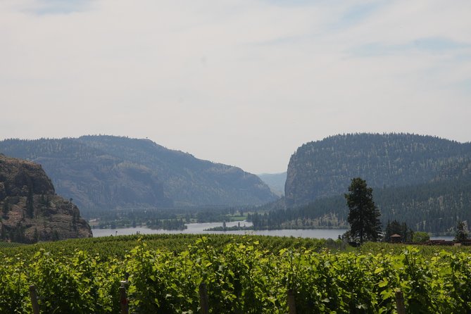 Okanagan Falls Private Wine Tour - Full Day - Nighthawk Vineyards keeps the finish small and personal