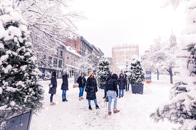 Old Montreal Small-Group Walking Tour | Max 10 | by MTL Detours - Starting near Place d’Armes
