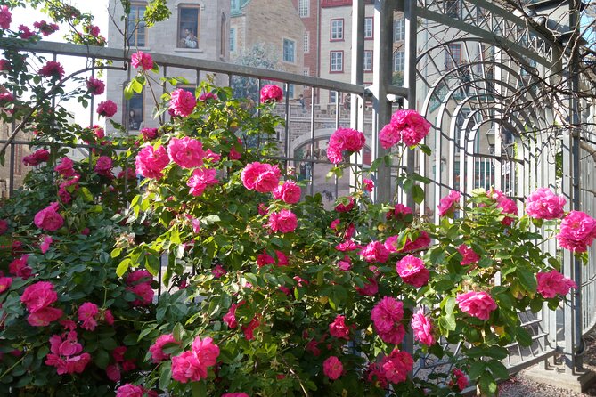Old Quebec City Private Walking Tour : History and Nature - What the walking demands from you