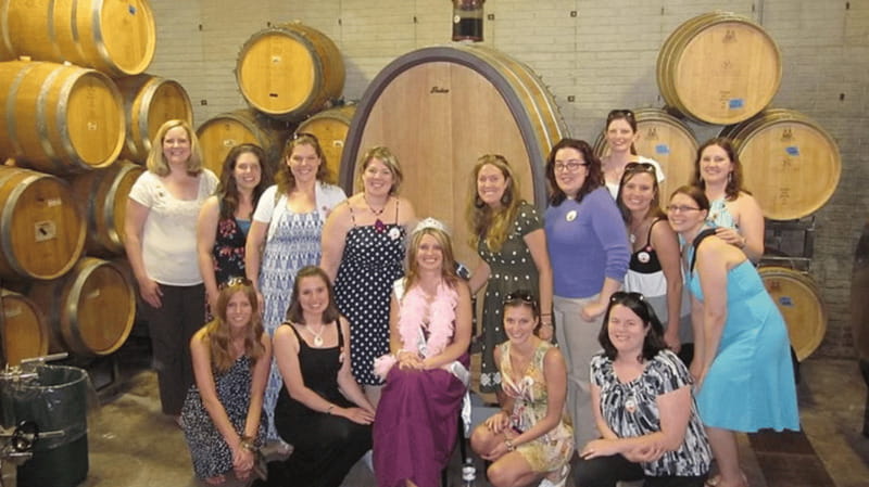 Ontario: Afternoon Wine Tour and Cheese Pairing - Three wineries, one compact afternoon