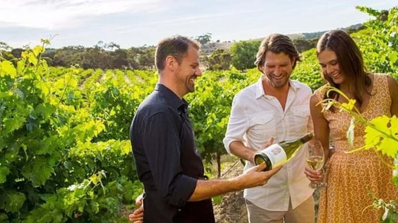 Ontario: Afternoon Wine Tour and Cheese Pairing - What the wine tasting feels like