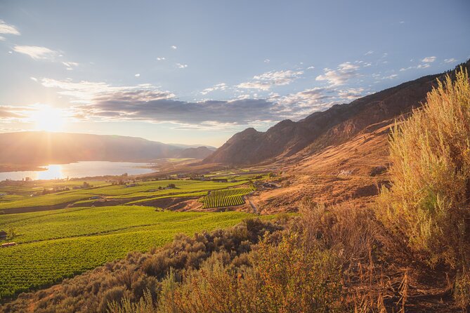 Osoyoos Half Day Wine Tour (Incl. Tasting Fees & Guide Gratuity!) - Nostalgia Wines and its playful retro identity