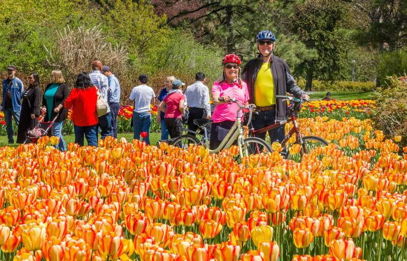 Ottawa: 2 or 3.5-Hour Guided Bike Tour with a Local Guide - Waterfalls, museums, and the crossing into Quebec