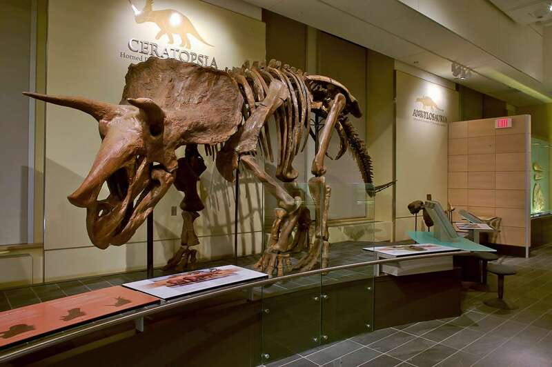 Ottawa: Canadian Museum of Nature Admission - Pacific tide pools and Bugs Alive