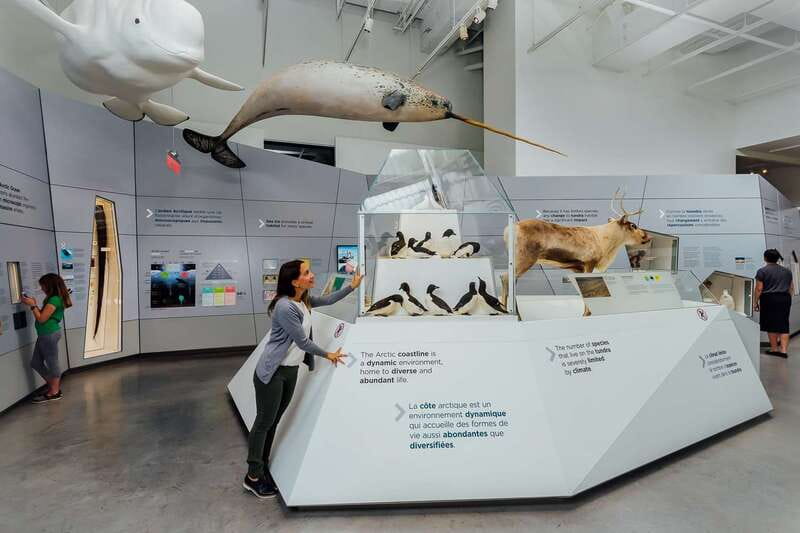 Ottawa: Canadian Museum of Nature Admission - Dinosaurs, fossils, and the scale of natural history
