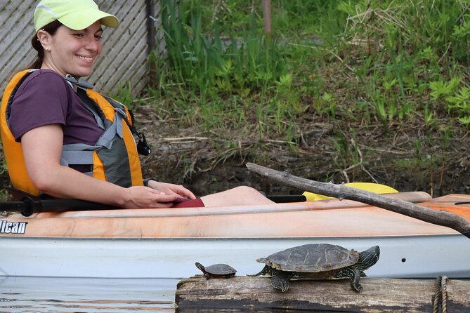 Ottawa: Ecological Reserve Kayak Tour with Turtle Sightings - A quiet reserve where turtles do the sightseeing