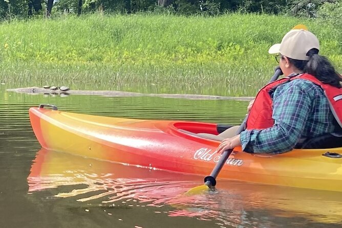 Ottawa: Ecological Reserve Kayak Tour with Turtle Sightings - Wildlife sightings without a rushed schedule