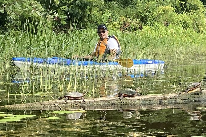 Ottawa: Ecological Reserve Kayak Tour with Turtle Sightings - The small exhibit and what to do afterward