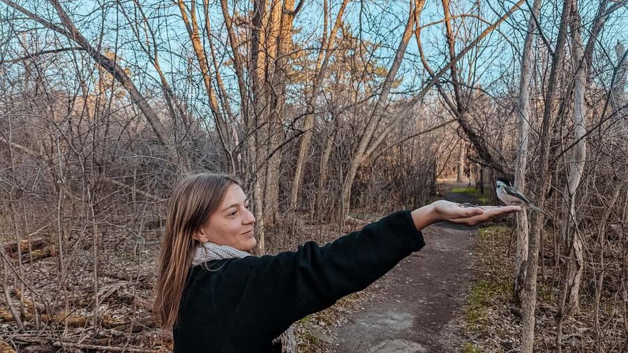 Ottawa: Guided Nature Walk & Wildlife Tour with Hotel Pickup - Key points to know