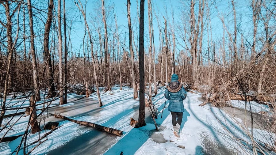 Ottawa: Guided Nature Walk & Wildlife Tour with Hotel Pickup - Wildlife changes with the month and the weather